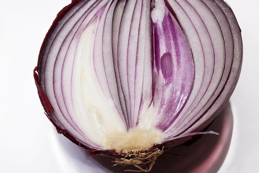 onion, allium cepa, red onion, sliced, half, half an onion, HD wallpaper
