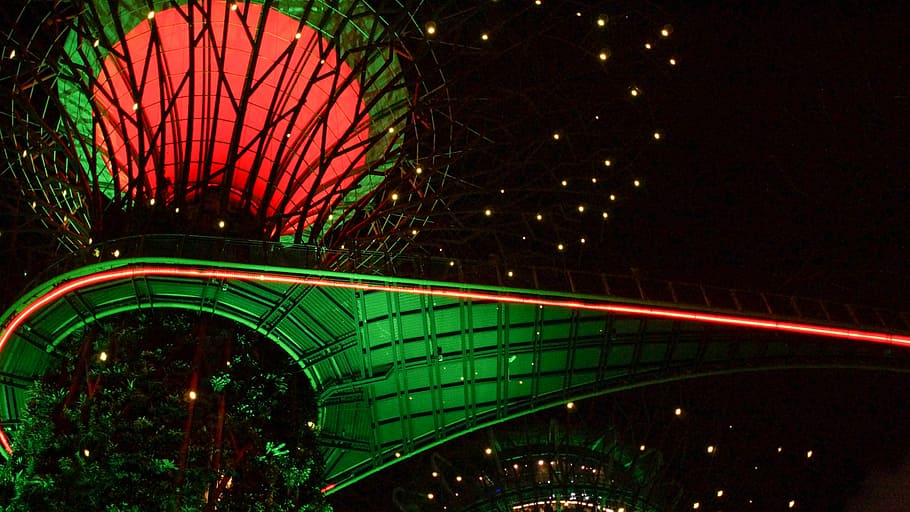 singapore, show, night, urban Scene, illuminated, architecture HD wallpaper
