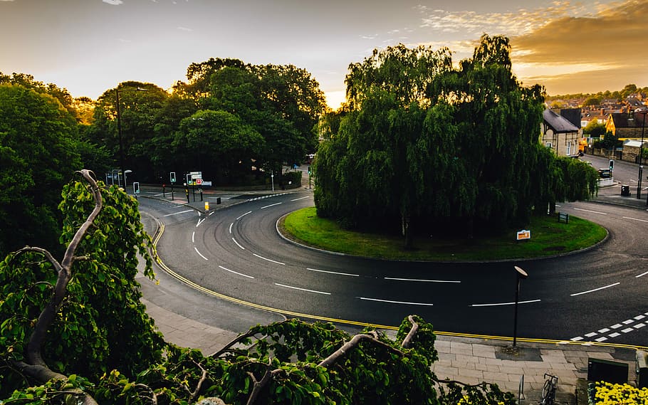 green trees between intersection road, curve road wallpaper, roundabout HD wallpaper