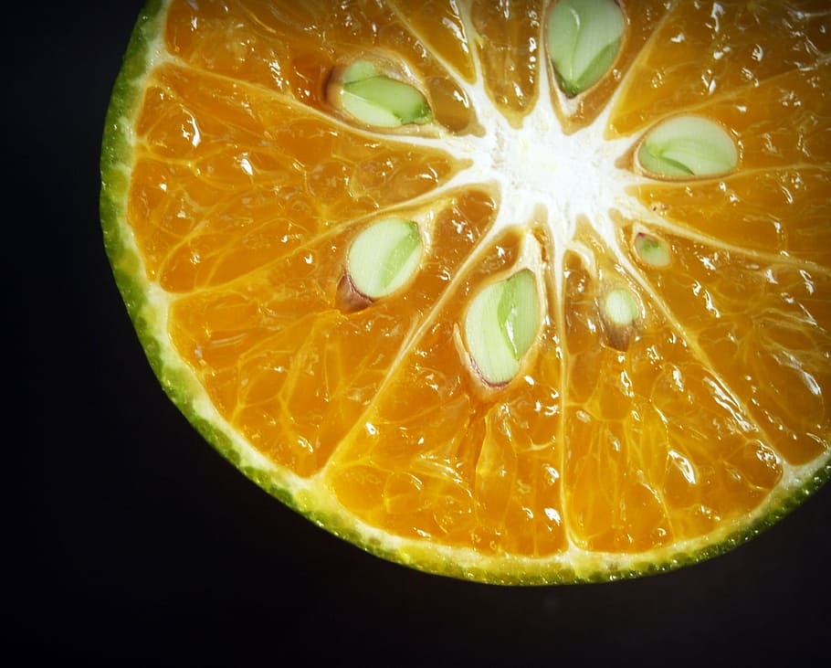 orange, fruit, slice, white, citrus, sour, isolated, agriculture HD wallpaper