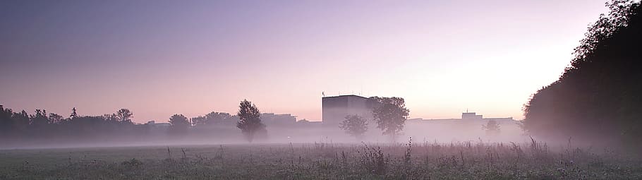 the fog, national library, warsaw, meadow, mokotowskie field, HD wallpaper