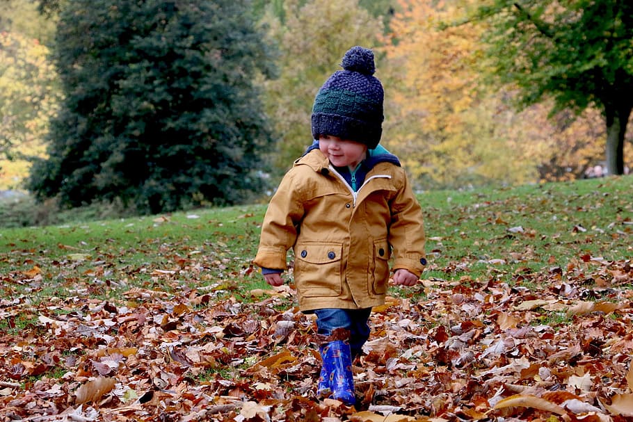 boy wearing orange bubble jacket walking on dry fallen leaves on ground, boy walking on field full of dried leafs, HD wallpaper