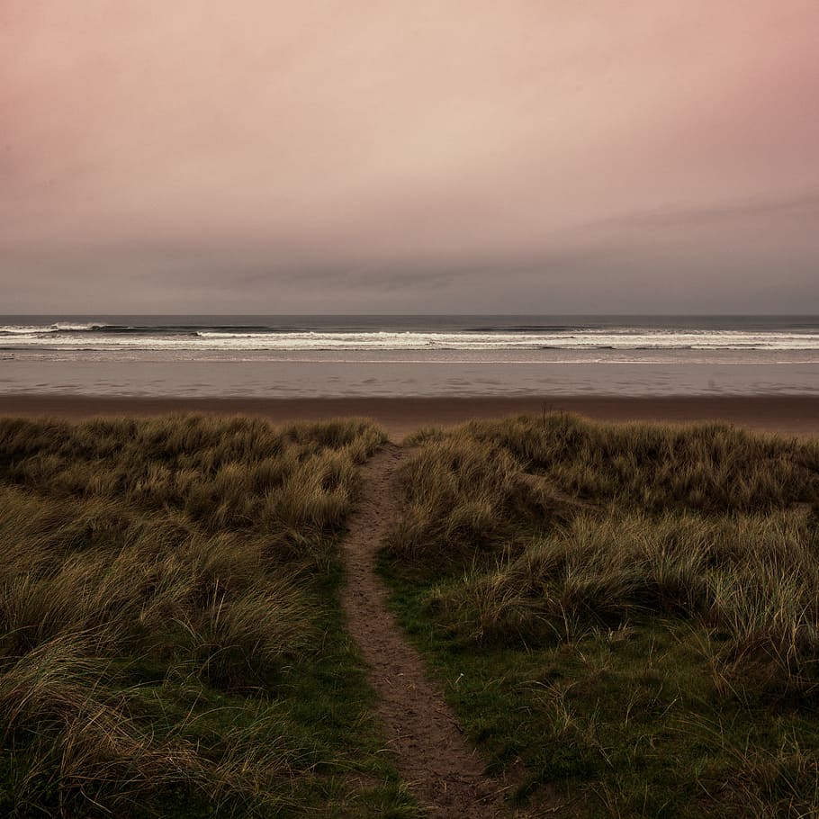 green grass field in front of body of water, pathway to the beach surrounded by grass during day HD wallpaper