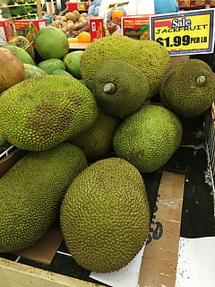 jackfruit, vegetable, market, fresh, sweet, asian, plant, food HD wallpaper