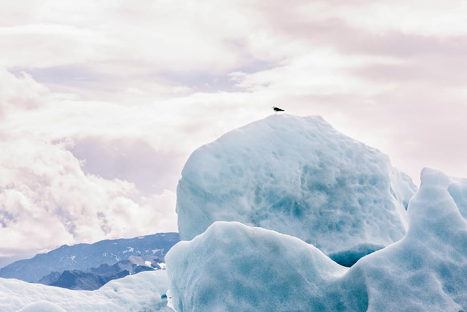white iceberg, iceberg under white cloudy sky during day, glacier HD wallpaper