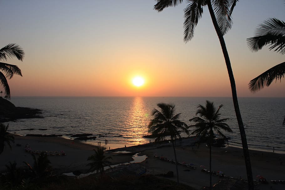 Goa, India, Beach, Sunset, sea, palm Tree, tropical Climate HD wallpaper