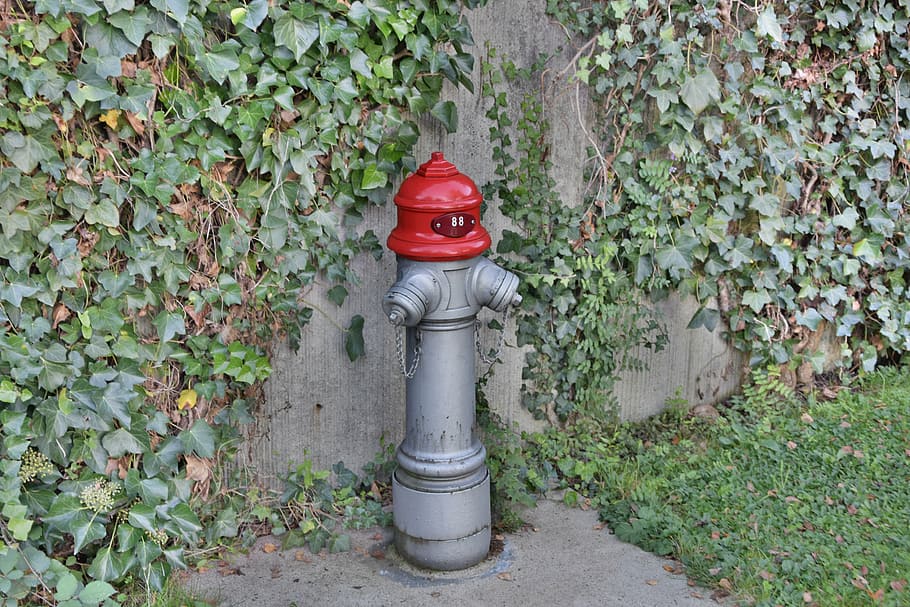hydrant, red, metal, water, fire, fire extinguishing, water hydrant HD wallpaper