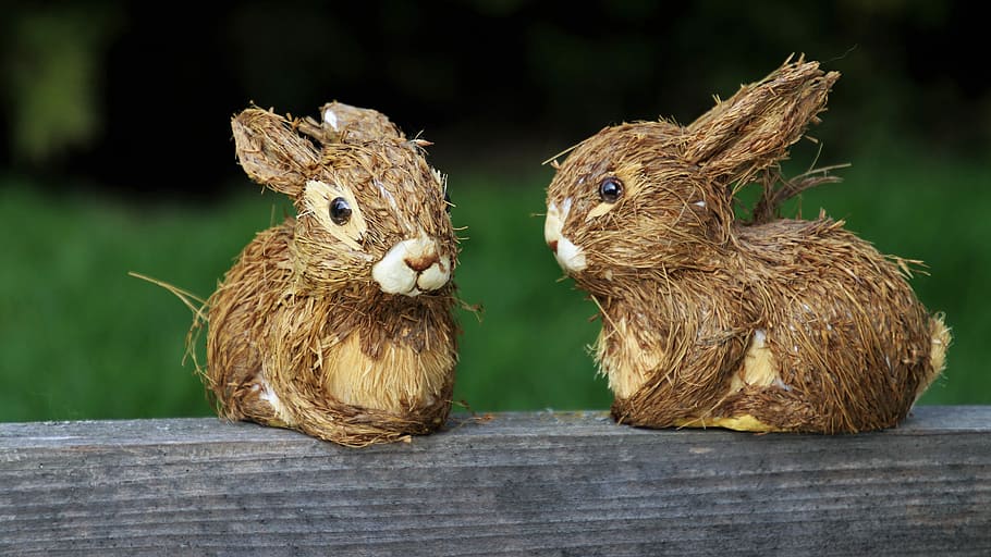 two brown bunnies on fence, rabbit, nature, animals, charming HD wallpaper
