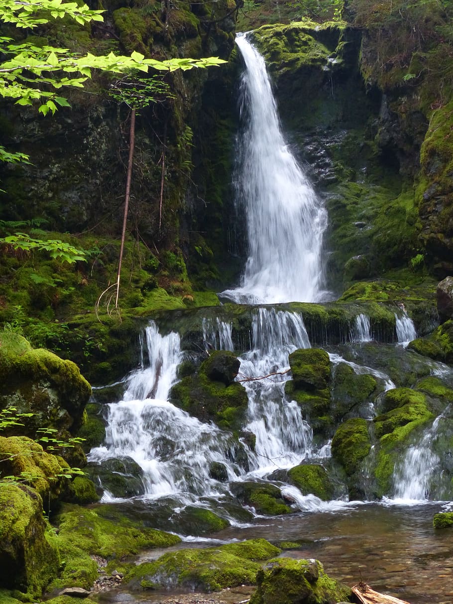 nature, forest, waterfall, green, beauty in nature, tree, motion HD wallpaper