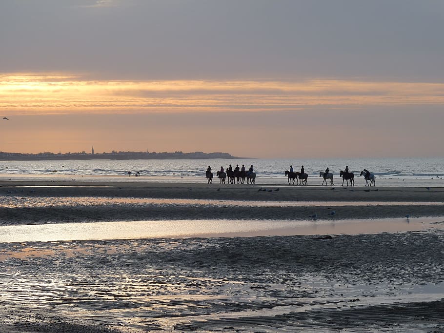 Sunset, Horses, Seaside, animals in the wild, animal themes HD wallpaper