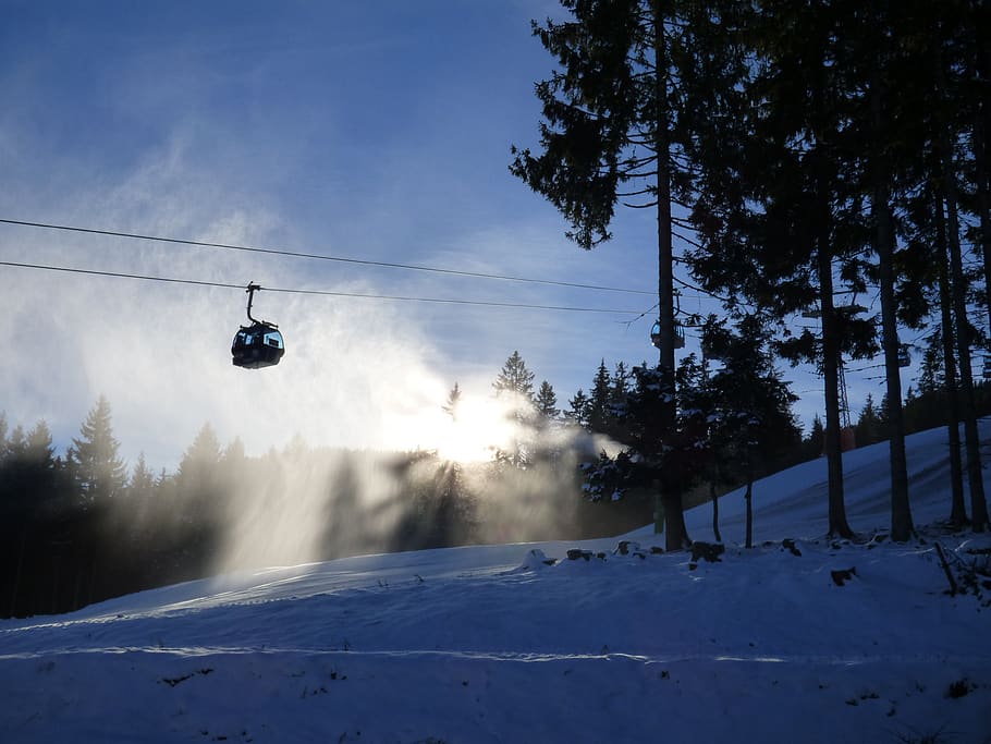 winter, snow, cold, cold temperature, tree, plant, cable car HD wallpaper