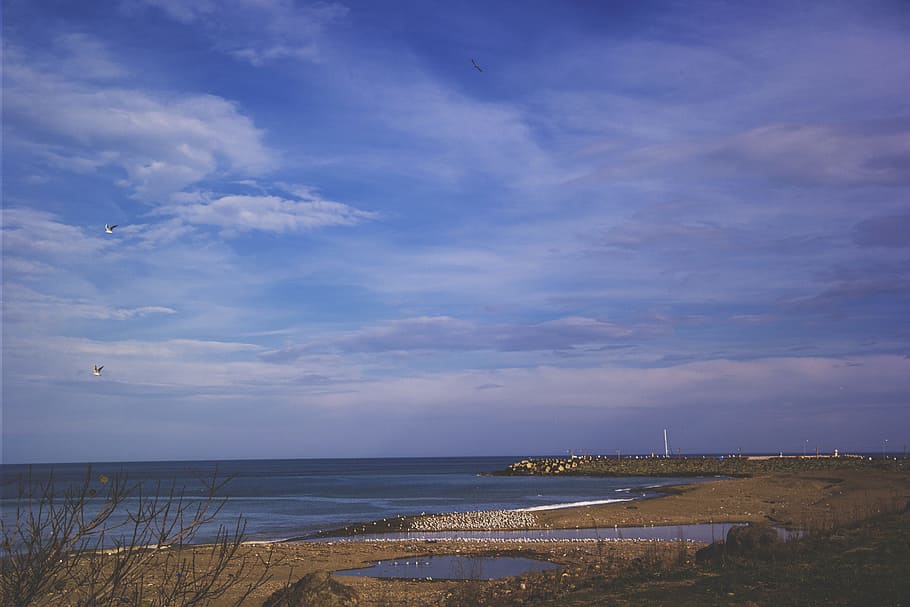 sea, landscape, nature, sky, beach, birds, blue sky, clouds, daylight HD wallpaper