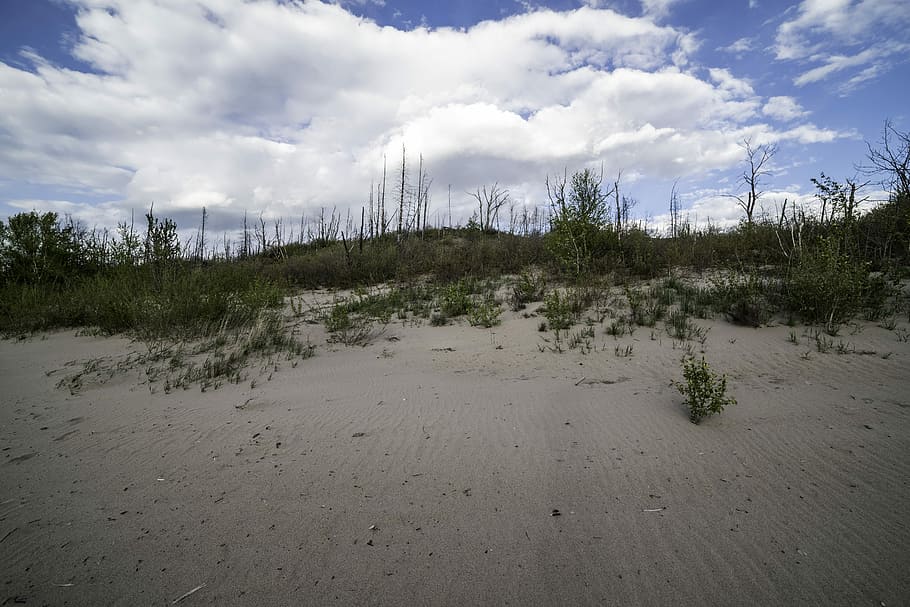 Clouds over the Sand dunes at Lesser Slave Lake Provincial Park HD wallpaper