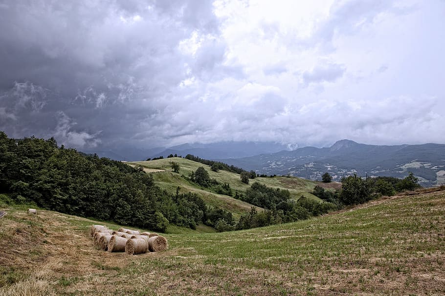 landscape, bales, hay, cloud - sky, plant, environment, beauty in nature HD wallpaper