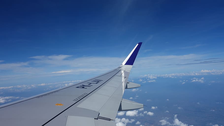 plane, wings, flight, sky, batik air, indonesia, airline, vacation HD wallpaper