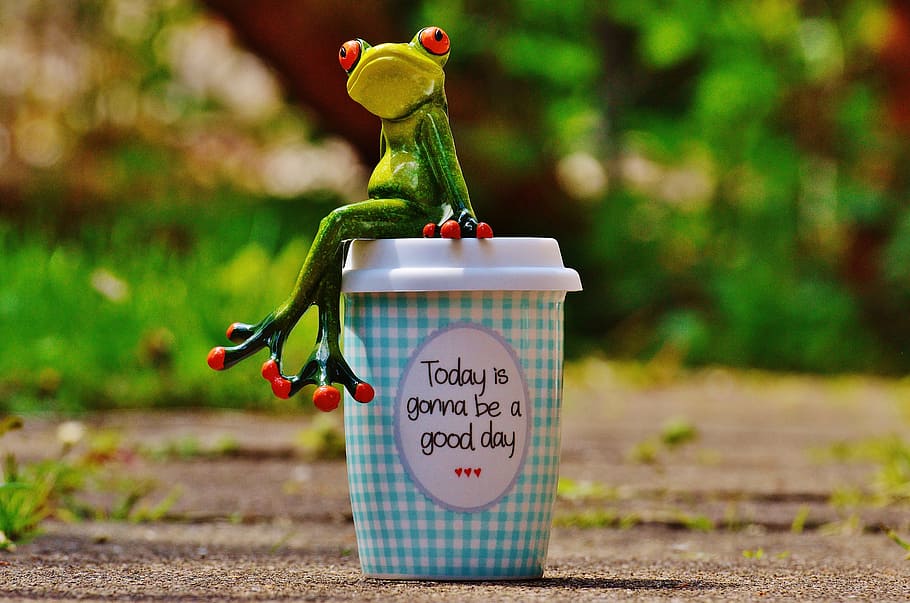 HD wallpaper: Beautiful Day, Frog, Coffee, Cup, joy, happy, happiness,  start | Wallpaper Flare