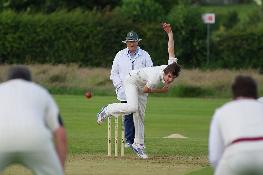 man playing cricket game, Bowl, Field, Match, Pitch, sport, white