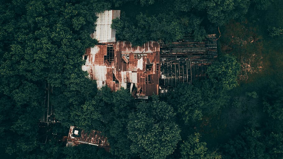 bird's-eye view photo of houses surrounded by trees, aerial view of abandoned building in forest HD wallpaper