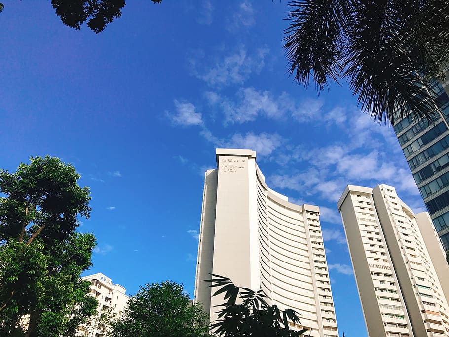 sky, blue, building, built structure, architecture, tree, low angle view HD wallpaper