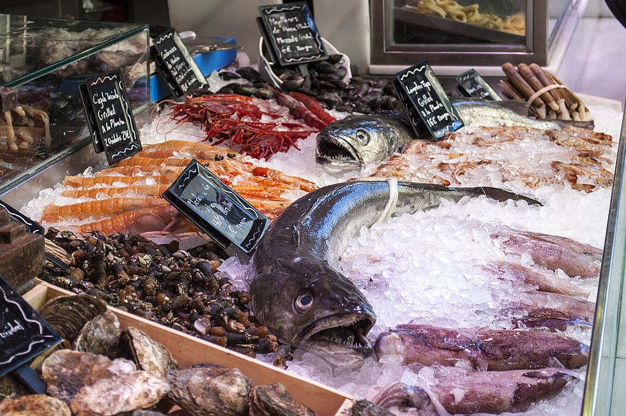 fish shop, seafood, ice, market, san miguel market, madrid, HD wallpaper