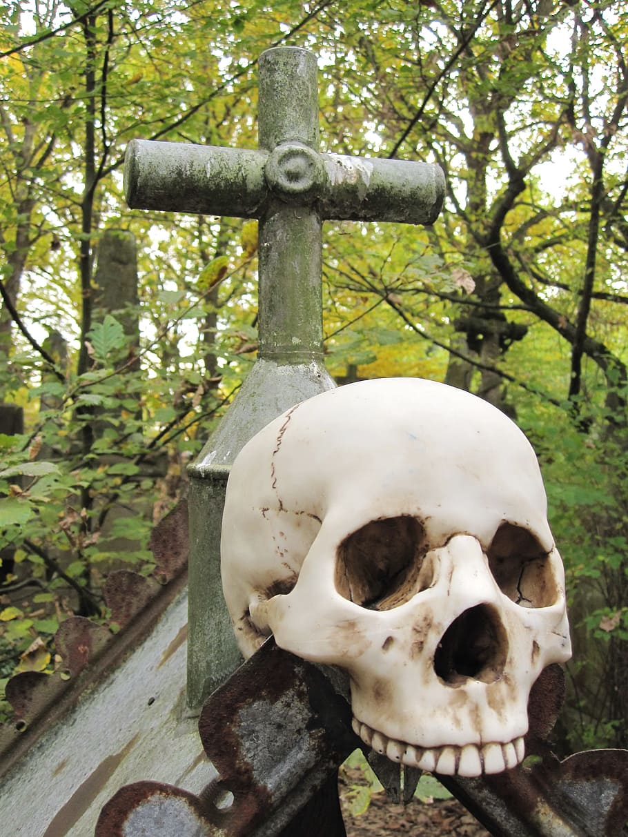 Death, Skull And Crossbones, weird, horror, crypt, scary, knochenmann
