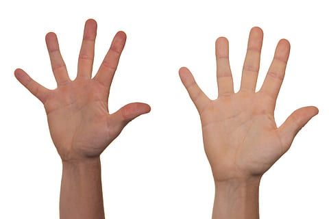 person's showing their right hands, volunteer, voluntary, guide HD wallpaper
