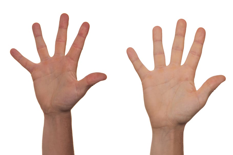 person's showing their right hands, volunteer, voluntary, guide
