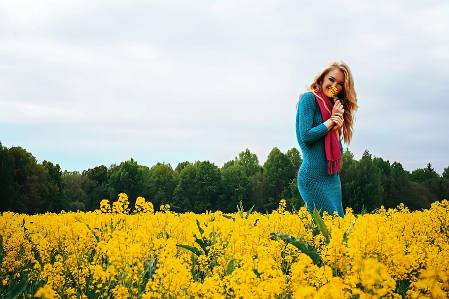 woman in blue dress on field of yellow flower, dandelion, nature
