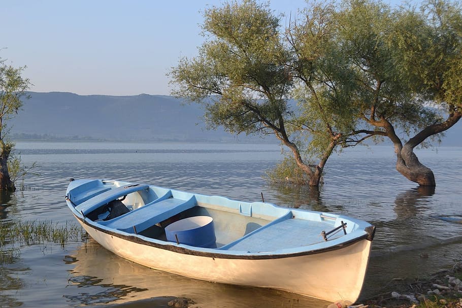 white and blue canoe on water near green leaf tree during daytime photo, HD wallpaper