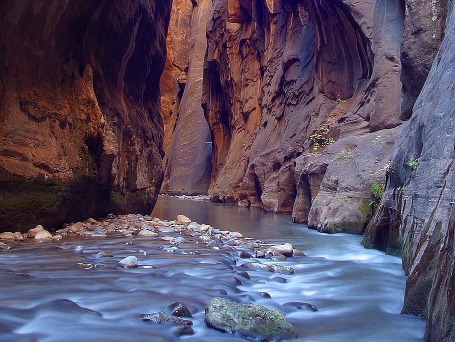 gorge, canyon, riverbed, narrow, eng, zion, national park, usa, HD wallpaper