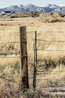 brown wooden pole on grass field, fence post, barbed wire, gate HD wallpaper