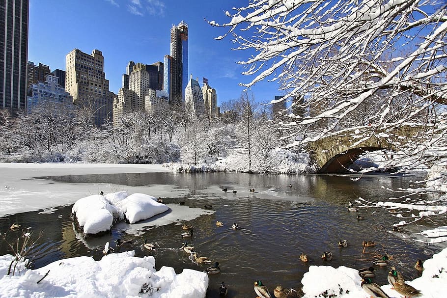 new york city winter skyline wallpaper