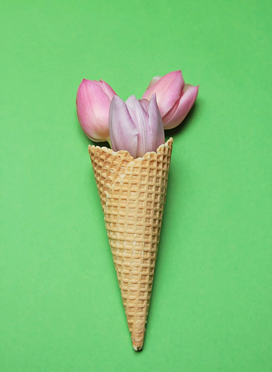 photo of pink rose with sugar cone, tulips, ice cream cone, waffle, HD wallpaper