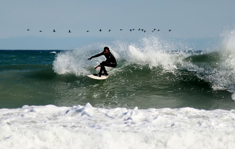 surfer, surfboard, surfing, leisure, skill, beach, sea, water sports HD wallpaper