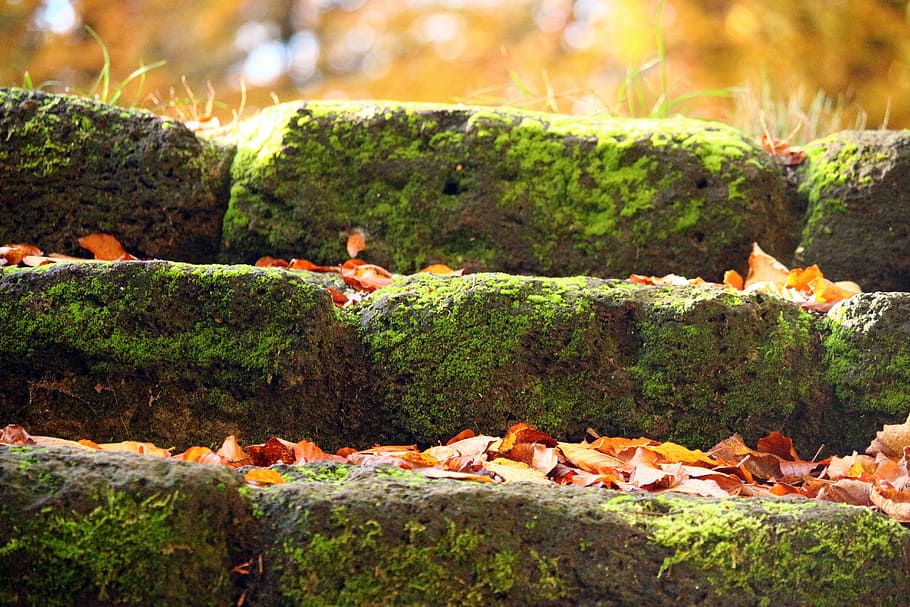 gradually, stone, stairs, moss, feilenmoos, clumping stone HD wallpaper