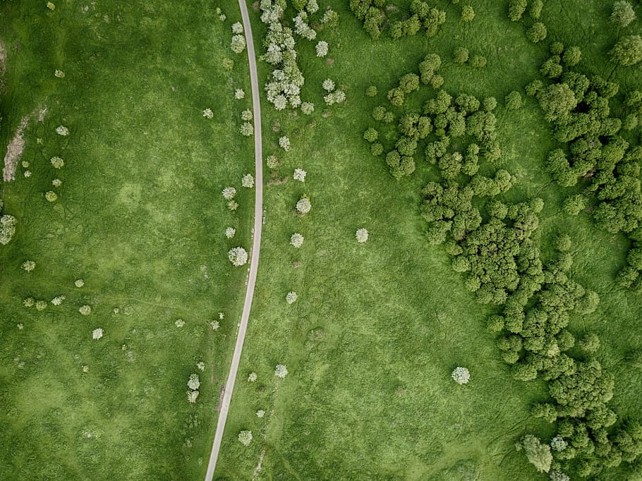 aerial view of road on grass plains, aerial photo of green grass field
