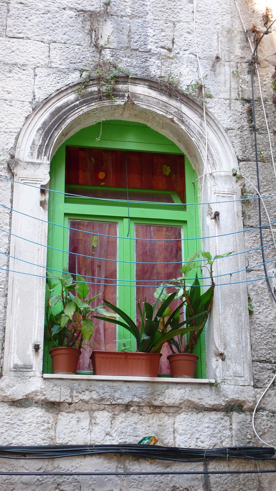 Green Window, Split, Croatia, in split, building exterior, green color HD wallpaper