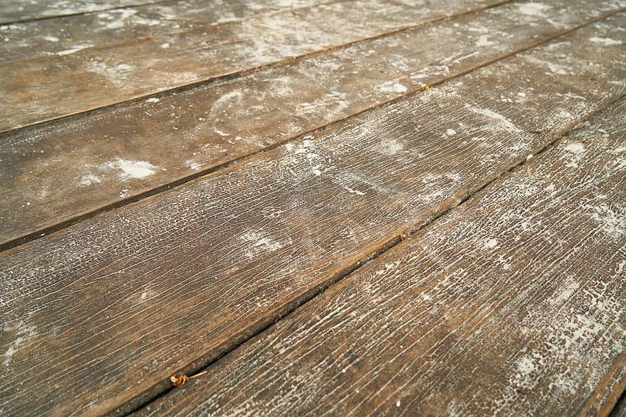 wood, tree, abstract, pattern, abstract pattern, nobody, macro HD wallpaper