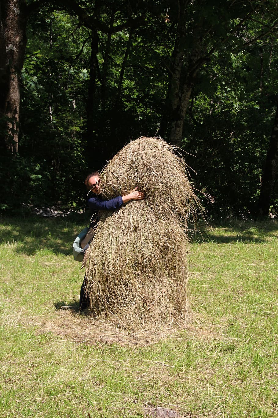 haystack, feed, hide, plant, land, field, one person, tree HD wallpaper