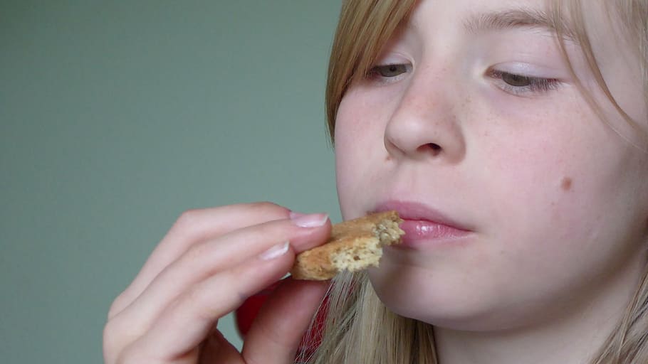face, consider, thinking, look at pages, viewing, biscuit, eat HD wallpaper