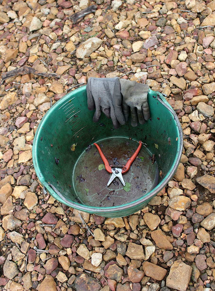 bucket, grape, harvest, day, no people, high angle view, stone - object HD wallpaper