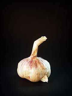 garlic-meals-white-clove-thumbnail.jpg