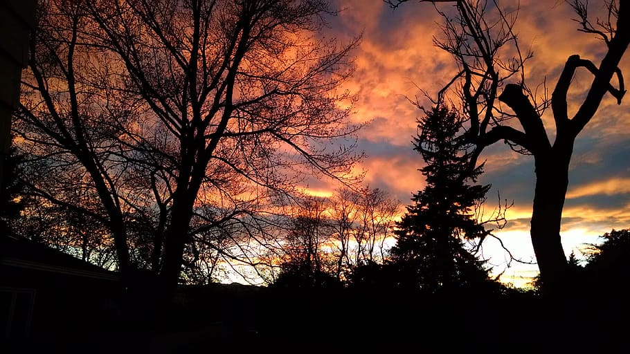 sunset, trees, sky, landscape, silhouette, evening, outdoor HD wallpaper