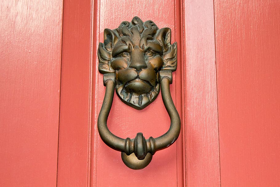 brown steel door handle, lion, south, charleston, knocker, brass