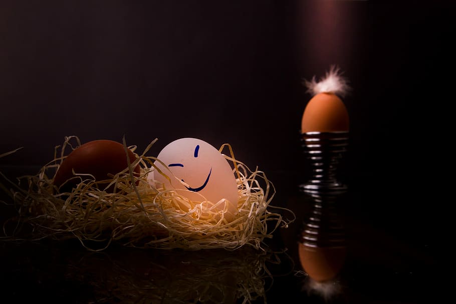 white and brown egg on nest, easter, easter eggs, happy eggs HD wallpaper