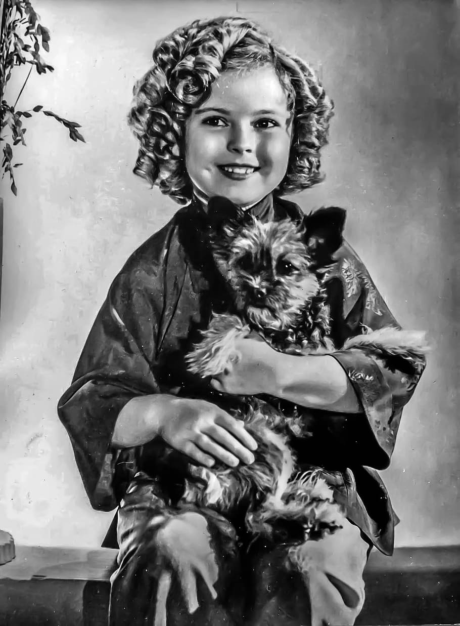 shirley temple, female, portrait, hollywood, film, tv, actress, HD wallpaper