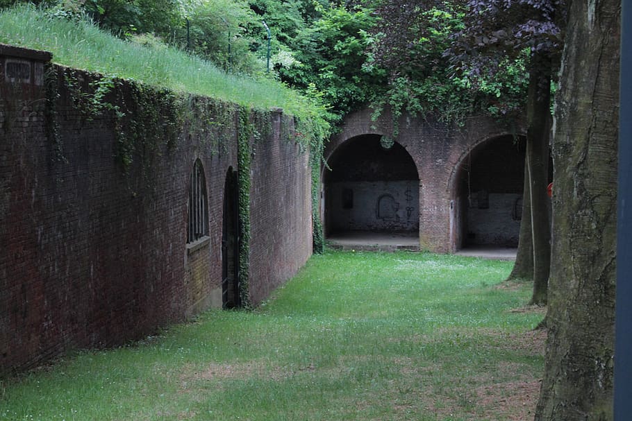 rome, architecture, plant, built structure, green color, grass HD wallpaper