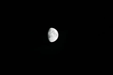 moon, dark, night, black, sky, halloween, nature, moonlight HD wallpaper