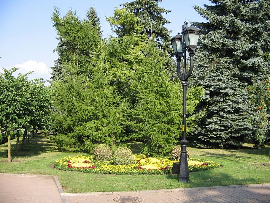 central square, stavropol, lantern, tree, nature, park - Man Made Space HD wallpaper