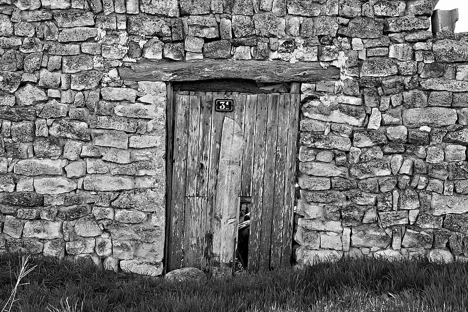 grayscale photo of closed wooden door, old, arc, background, texture